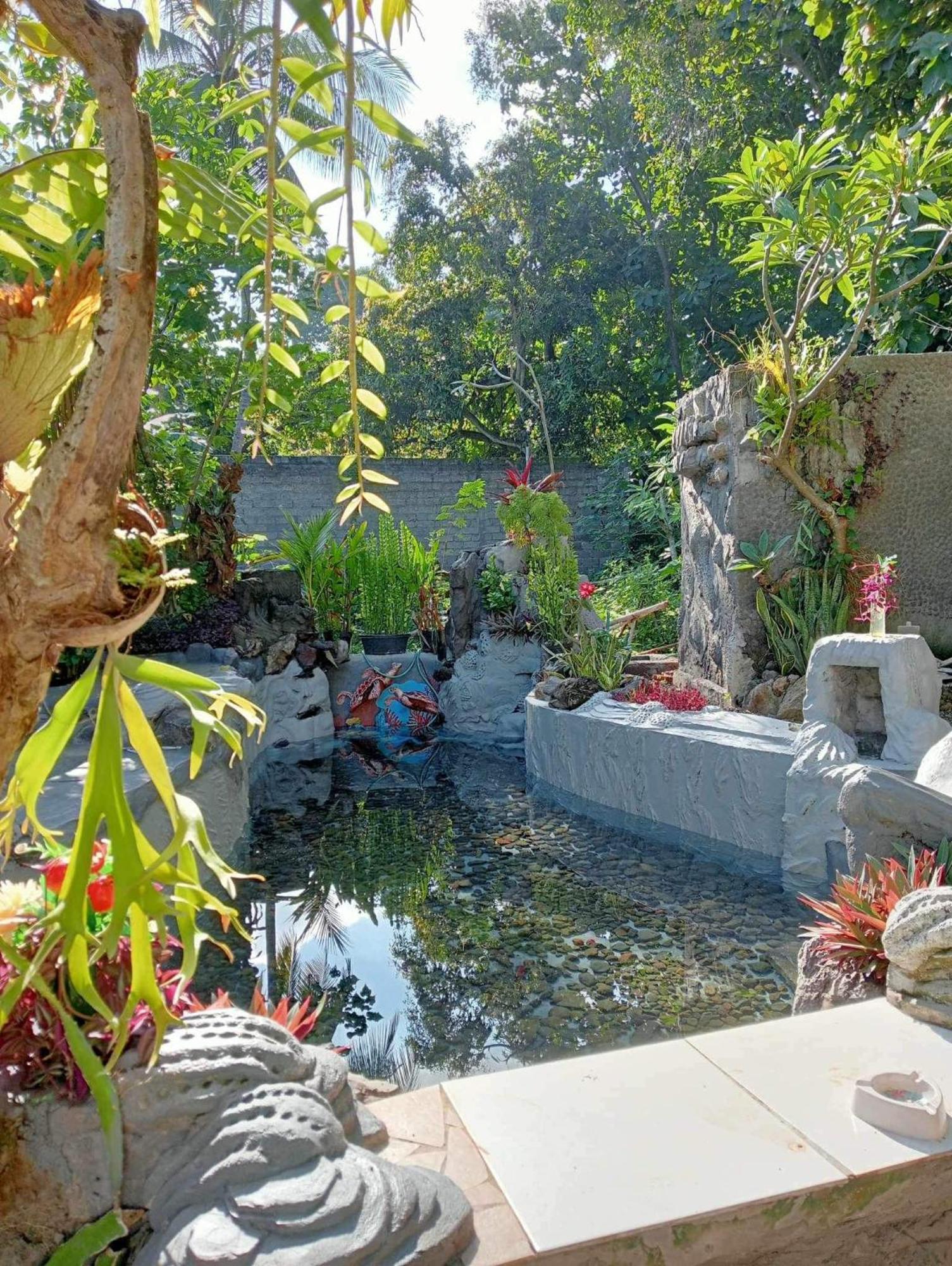 Atb Hostel Lovina Dış mekan fotoğraf